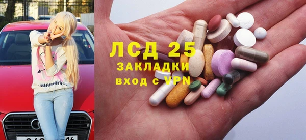 сатива Корсаков